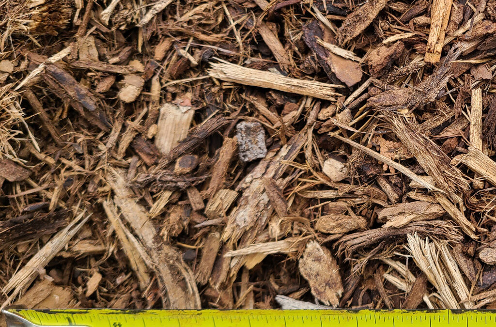 Mixed Hardwood
